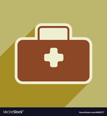 Icon of medical suitcase in flat style vector image