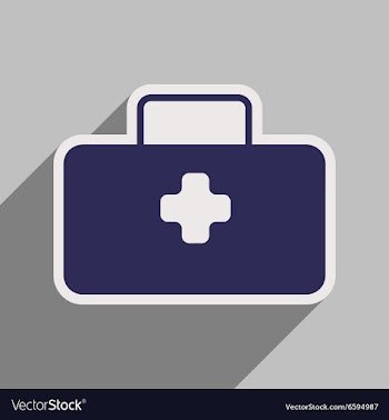 Icon of medical suitcase in flat style vector image