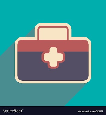 Icon of medical suitcase in flat style vector image