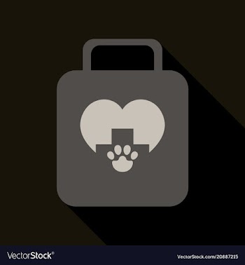 Icon of medicine chest with long shadow in flat vector image