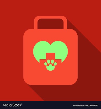 Icon of medicine chest with long shadow in flat vector image