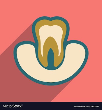 Icon of tooth gums in flat style vector image