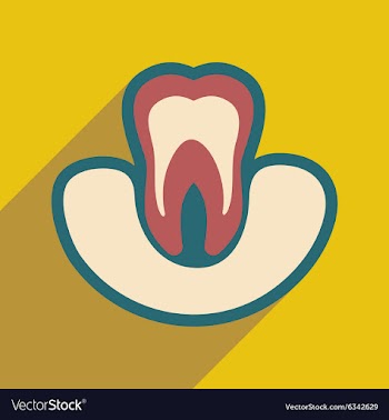 Icon of tooth gums in flat style vector image