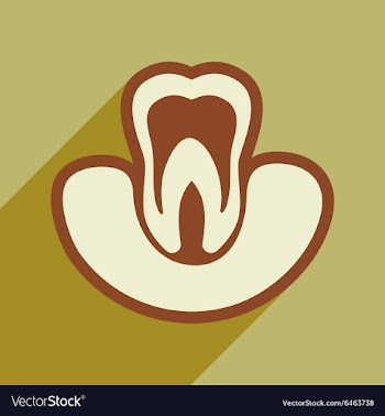 Icon of tooth gums in flat style vector image