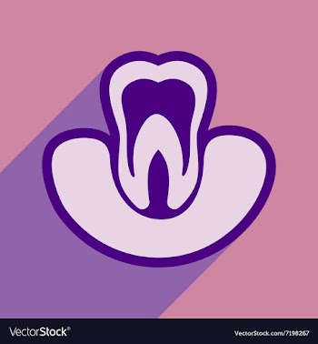 Icon of tooth gums in flat style vector image