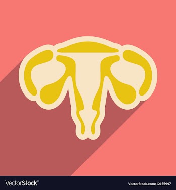 Icon of woman s vagina in flat style vector image