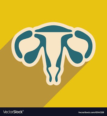 Icon of woman vagina in flat style vector image