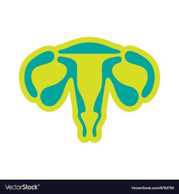 Icon of woman vagina in flat style vector image