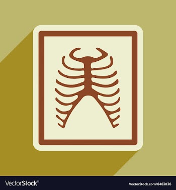 Icon of X-rays of ribs in flat style vector image