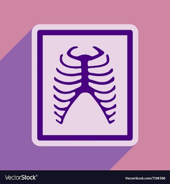 Icon of X-rays of ribs in flat style vector image