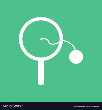 Icon on background kids racket and ball vector image
