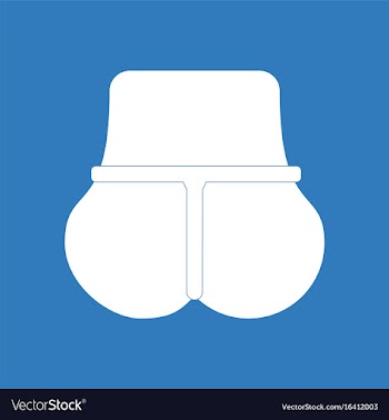Icon on background sexy female thong vector image