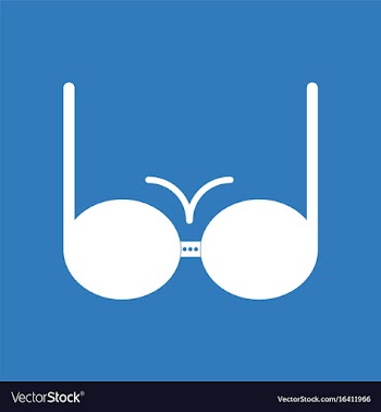 Icon on background sexy women brassiere vector image