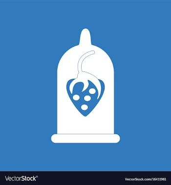 Icon on background strawberry condom silhouette vector image
