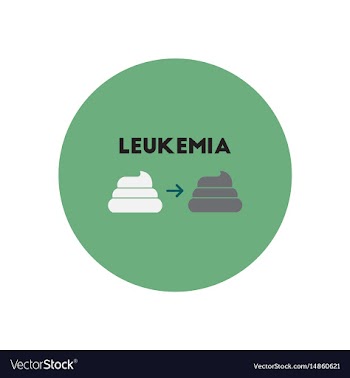 Icon on circle various symptoms of leukem vector image