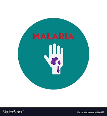 Icon on circle various symptoms of malar vector image