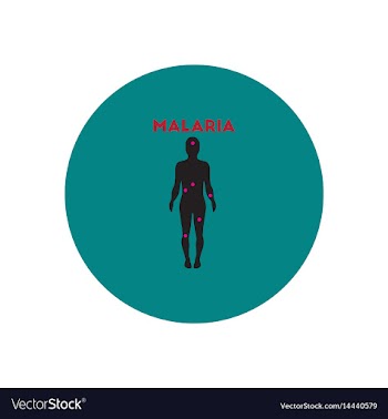 Icon on circle various symptoms of malar vector image