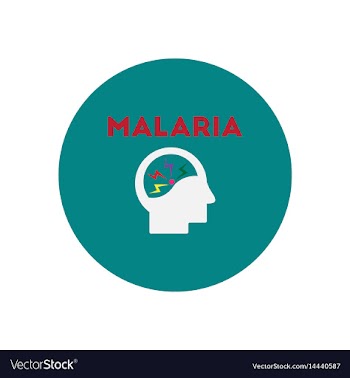 Icon on circle various symptoms of malar vector image