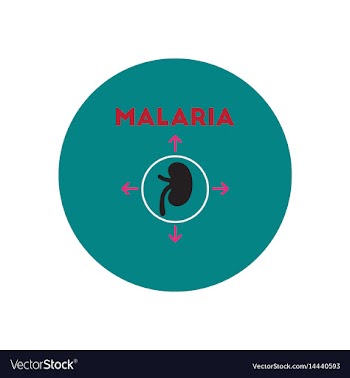 Icon on circle various symptoms of malar vector image