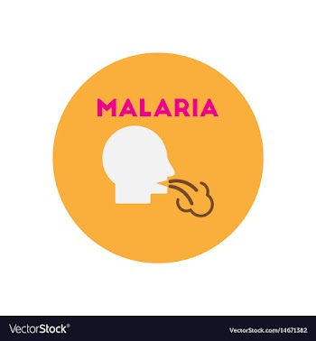 Icon on circle various symptoms of malar vector image
