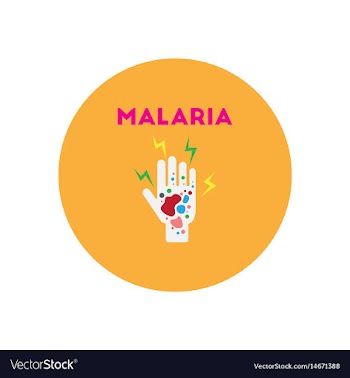 Icon on circle various symptoms of malar vector image