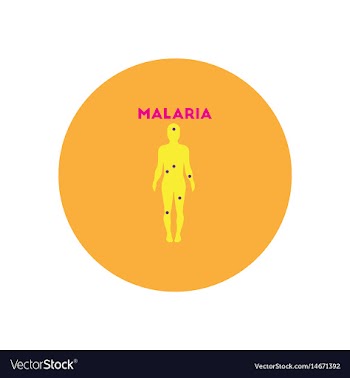 Icon on circle various symptoms of malar vector image
