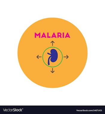 Icon on circle various symptoms of malar vector image