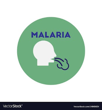 Icon on circle various symptoms of malar vector image
