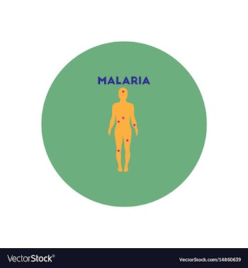 Icon on circle various symptoms of malar vector image