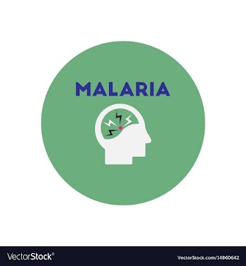 Icon on circle various symptoms of malar vector image