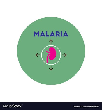 Icon on circle various symptoms of malar vector image