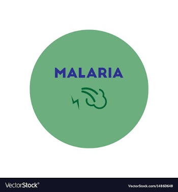 Icon on circle various symptoms of malar vector image