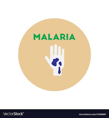 Icon on circle various symptoms of malar vector image