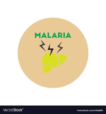 Icon on circle various symptoms of malar vector image