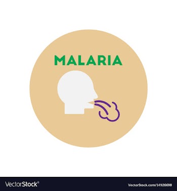 Icon on circle various symptoms of malar vector image