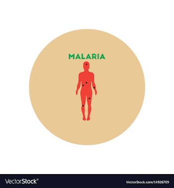 Icon on circle various symptoms of malar vector image