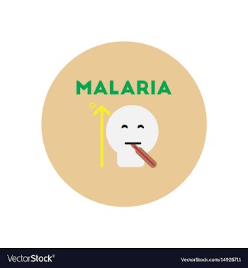 Icon on circle various symptoms of malar vector image