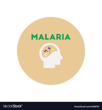 Icon on circle various symptoms of malar vector image