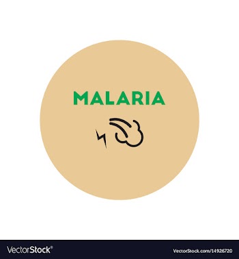 Icon on circle various symptoms of malar vector image
