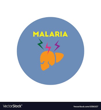 Icon on circle various symptoms of malar vector image