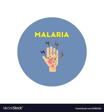 Icon on circle various symptoms of malar vector image