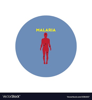 Icon on circle various symptoms of malar vector image