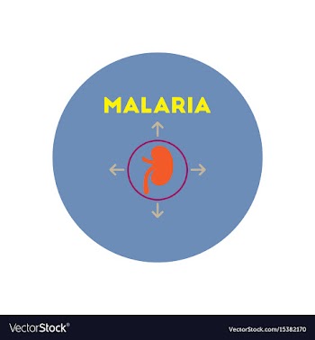 Icon on circle various symptoms of malar vector image