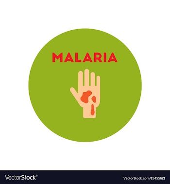Icon on circle various symptoms of malar vector image