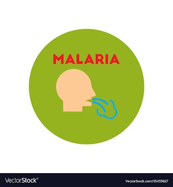 Icon on circle various symptoms of malar vector image