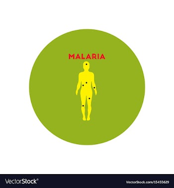 Icon on circle various symptoms of malar vector image