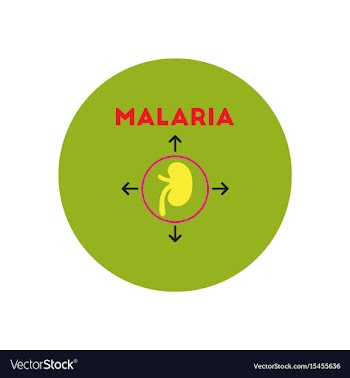Icon on circle various symptoms of malar vector image