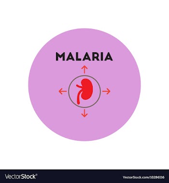 Icon on circle various symptoms of vector image