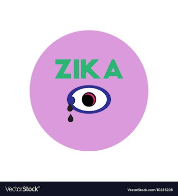 Icon on circle various symptoms of Zika vector image