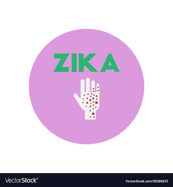 Icon on circle various symptoms of Zika vector image
